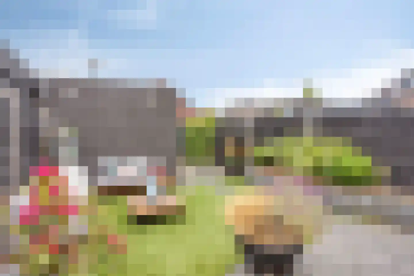 Witbomenbos 16 Meteren thumbnail 32