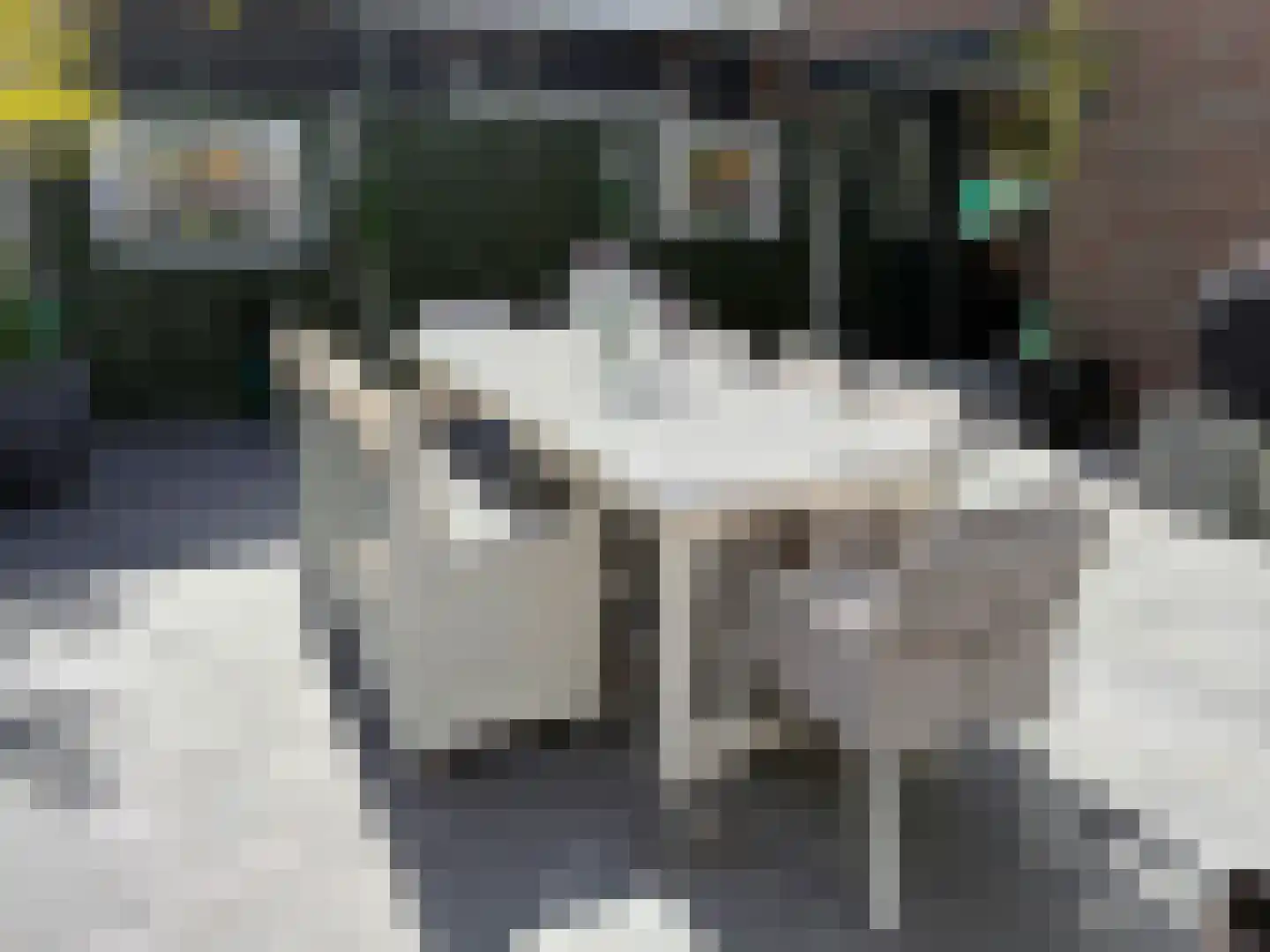Witboomstraat 42 d Veen thumbnail 126