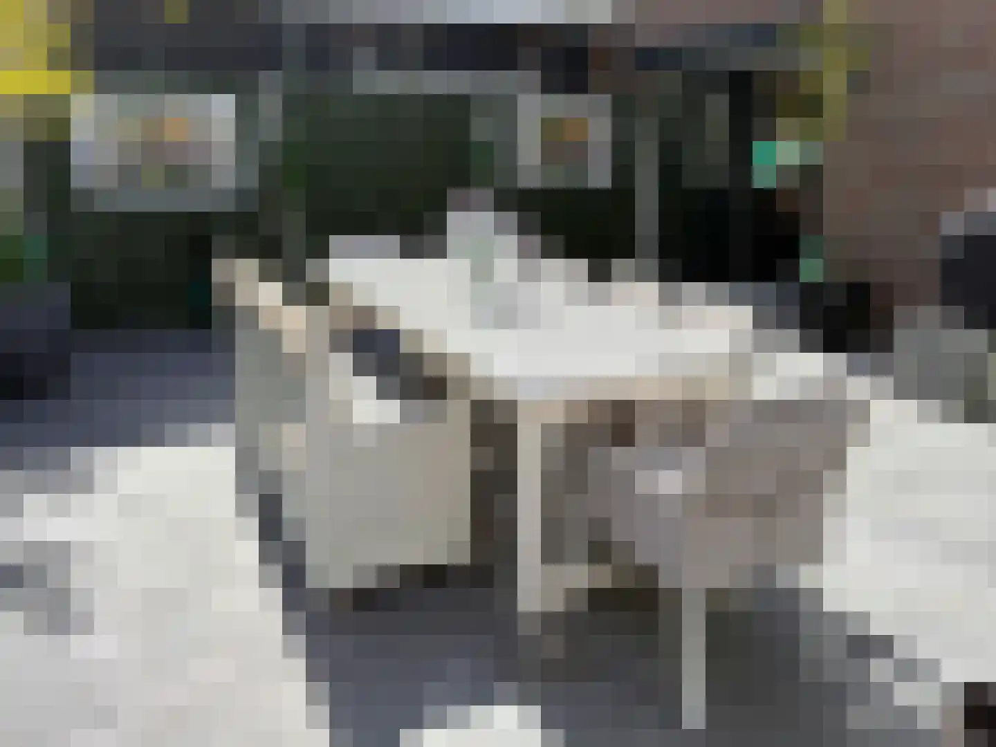 Witboomstraat 42 d Veen thumbnail 126