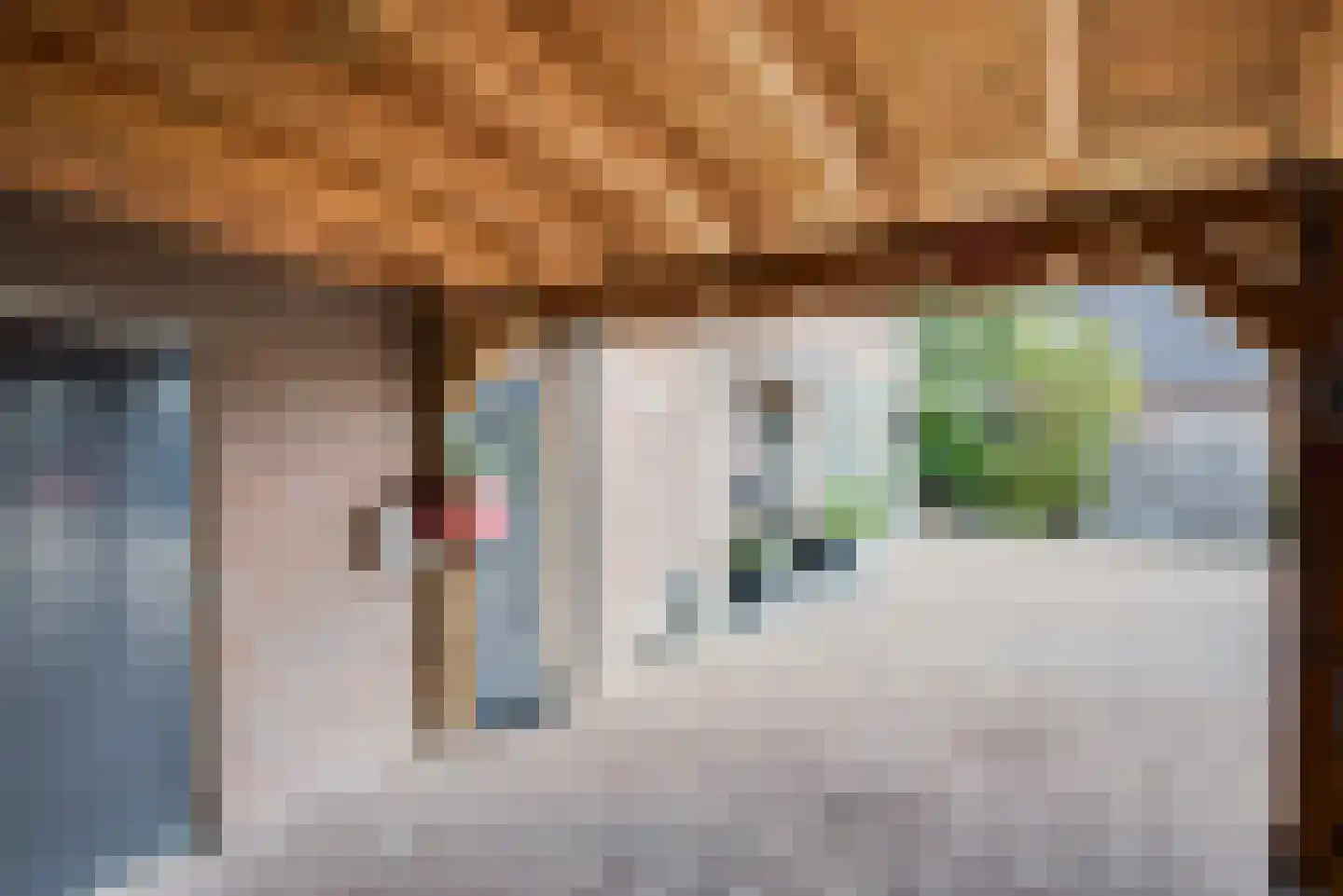 Witboomstraat 42 d Veen thumbnail 14