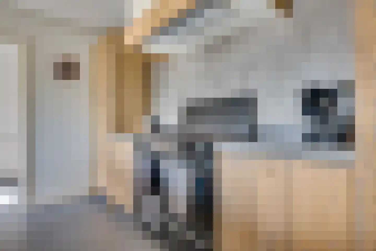 Witboomstraat 42 d Veen thumbnail 21