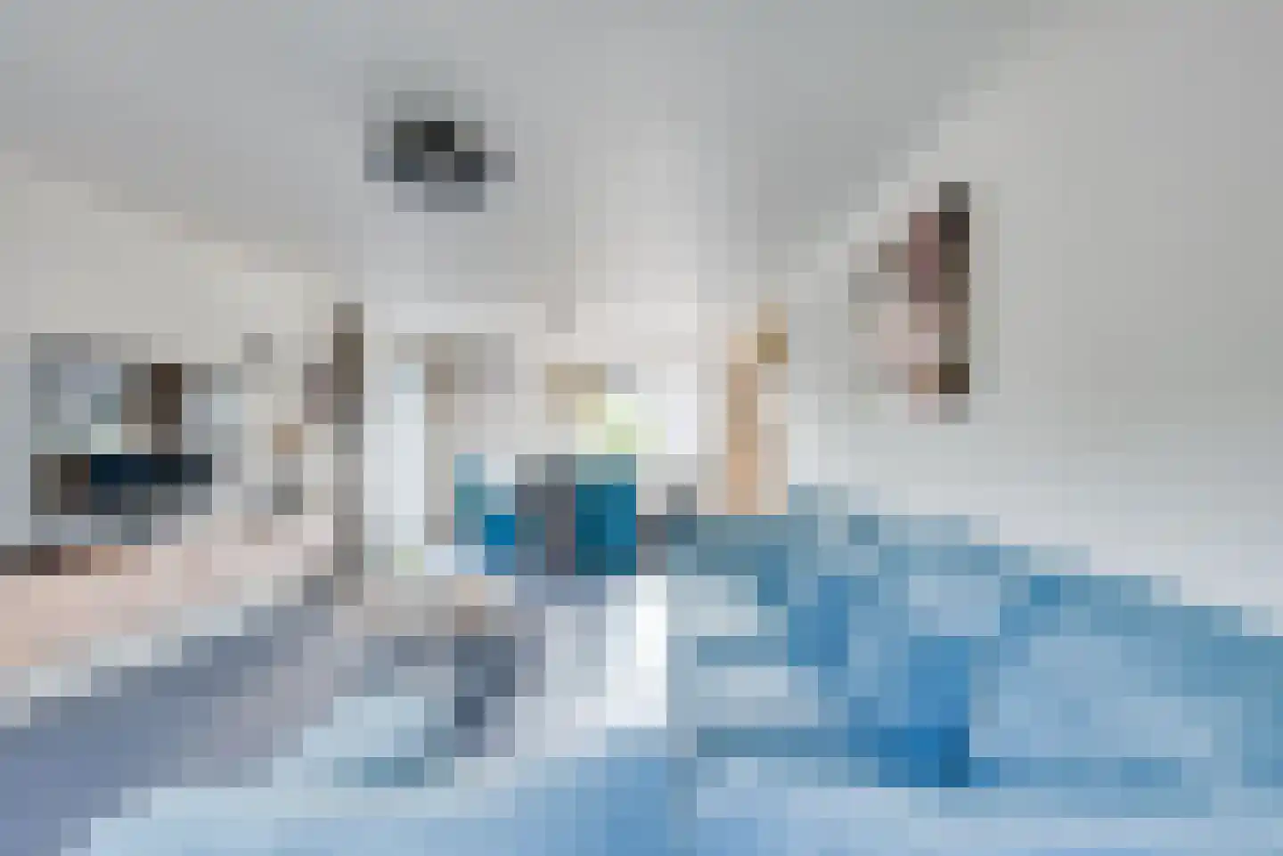 Witboomstraat 42 d Veen thumbnail 35