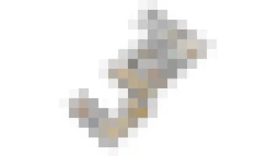 Witboomstraat 42 d Veen thumbnail 47