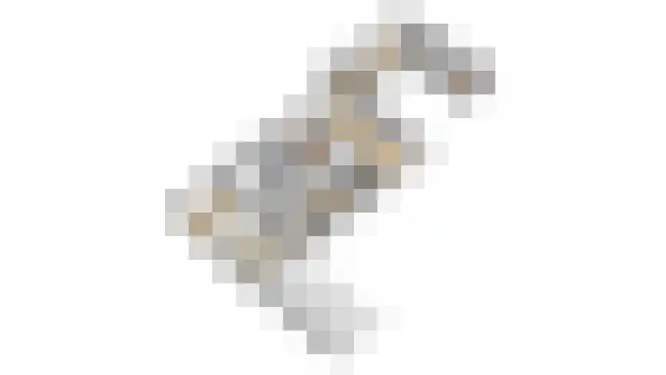 Witboomstraat 42 d Veen thumbnail 48