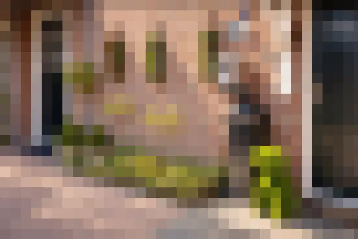 Witboomstraat 42 d Veen thumbnail 6