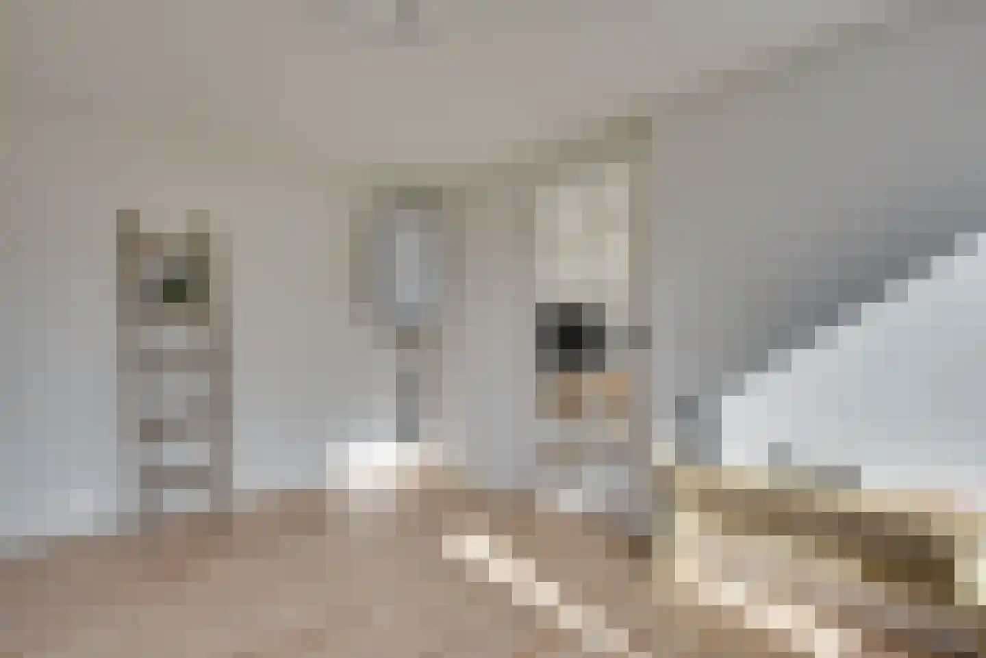 Witboomstraat 42 d Veen thumbnail 75