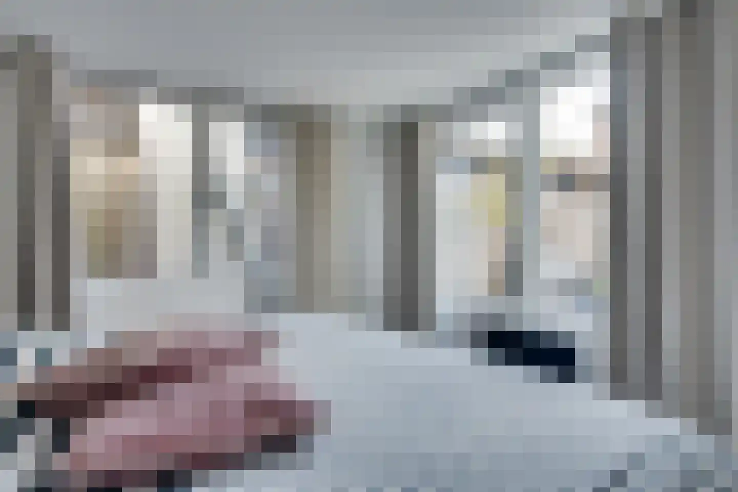Witboomstraat 42 d Veen thumbnail 90
