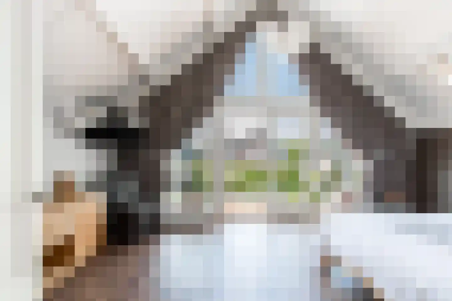 Witboomstraat 48 Veen thumbnail 20