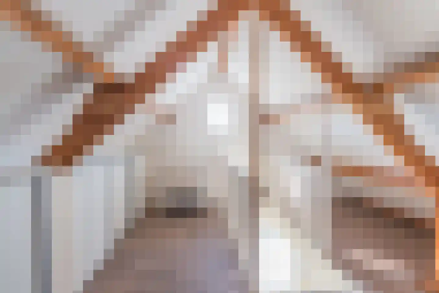 Witboomstraat 48 Veen thumbnail 27