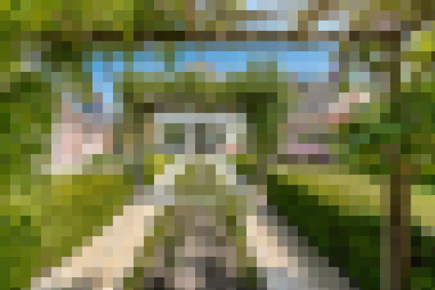 Witboomstraat 48 Veen thumbnail 39