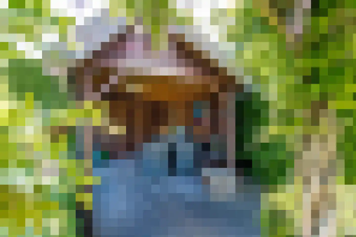 Witboomstraat 48 Veen thumbnail 41