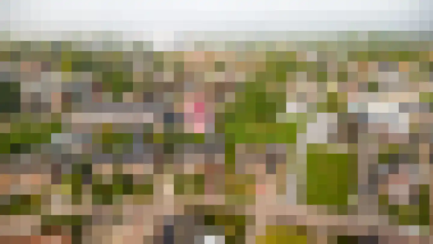 Witboomstraat 48 Veen thumbnail 43