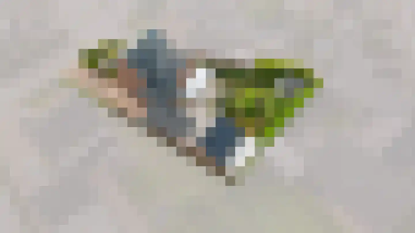 Witboomstraat 48 Veen thumbnail 47