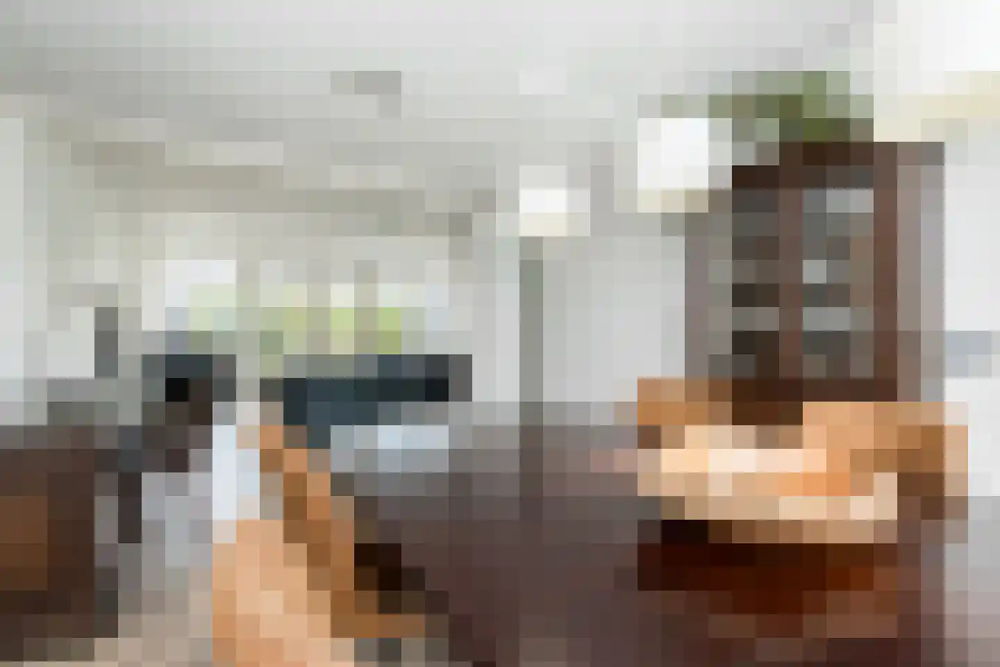 Witboomstraat 48 Veen thumbnail 8