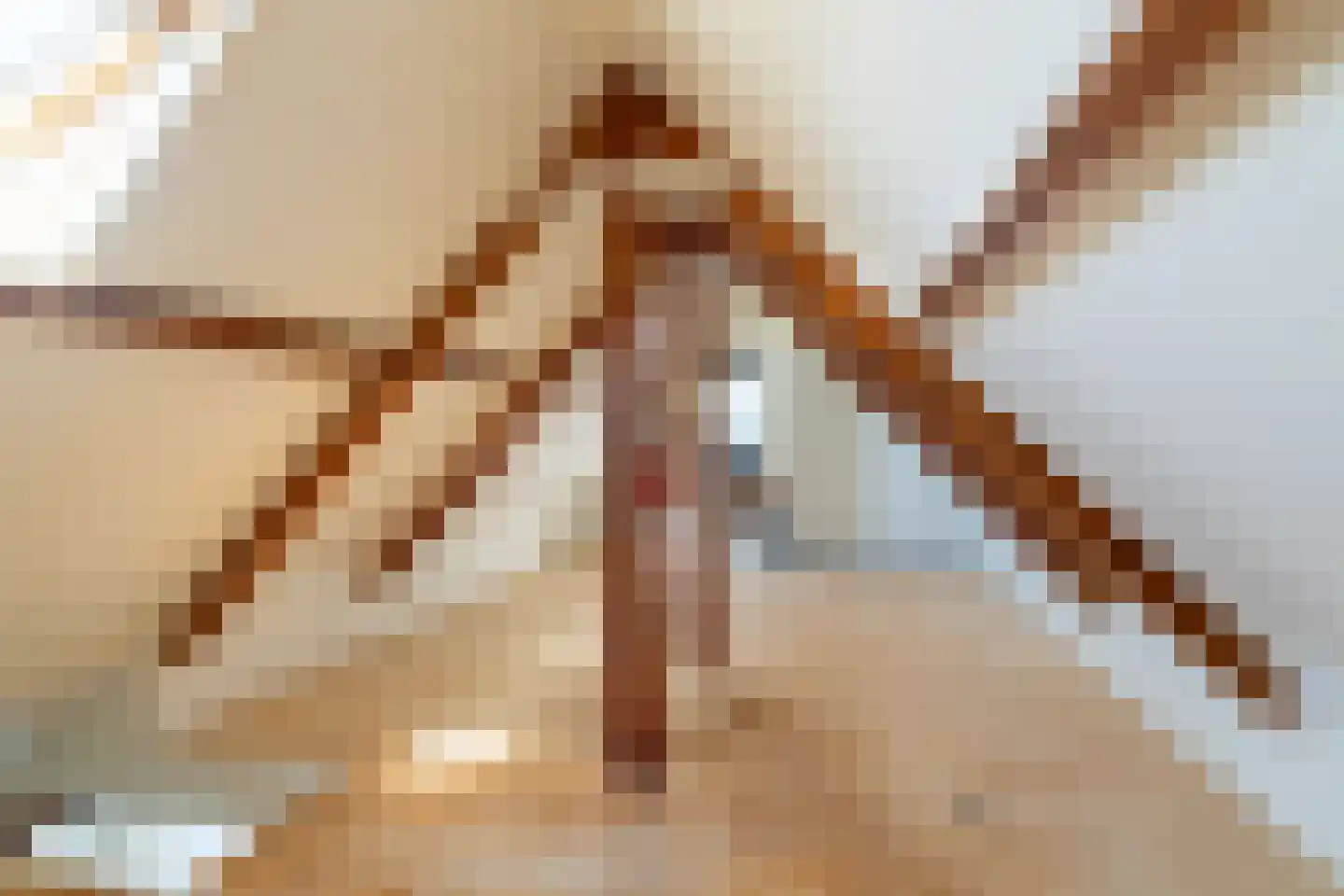 Witboomstraat 66 Veen thumbnail 29