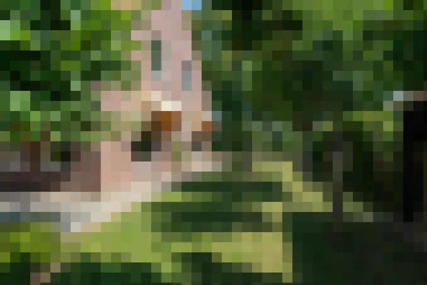 Witboomstraat 66 Veen thumbnail 32