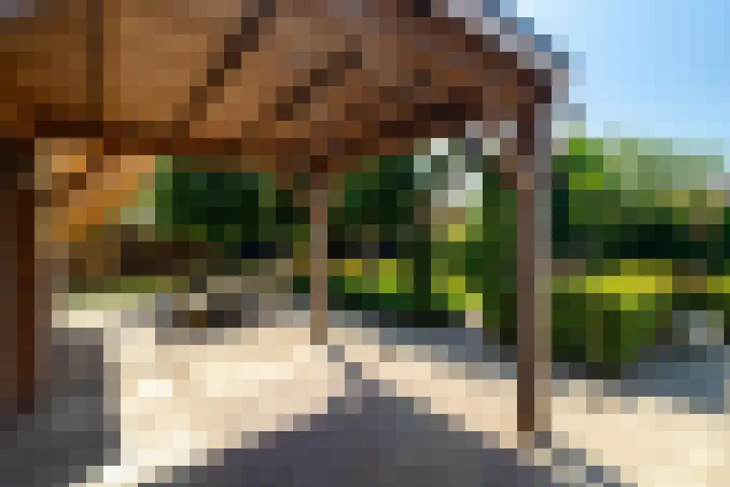 Witboomstraat 66 Veen thumbnail 34