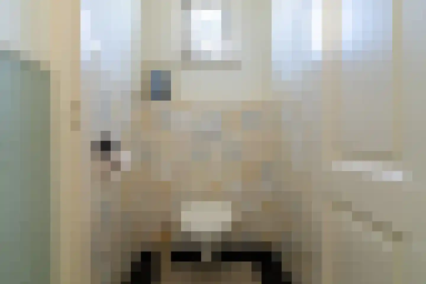 Witboomstraat 66 Veen thumbnail 7