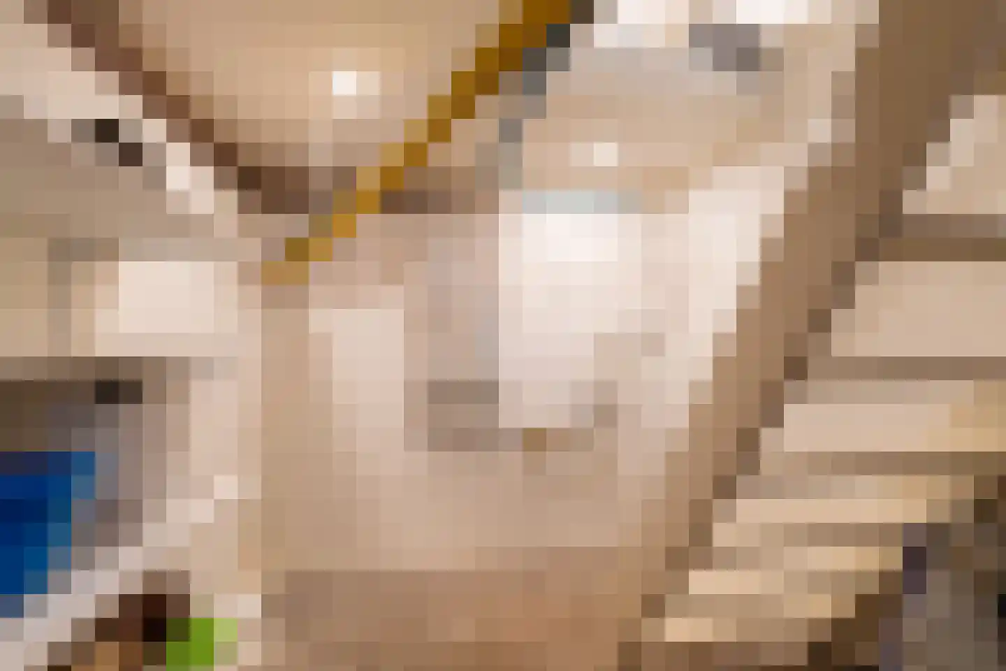 Witboomstraat 66 Veen thumbnail 9