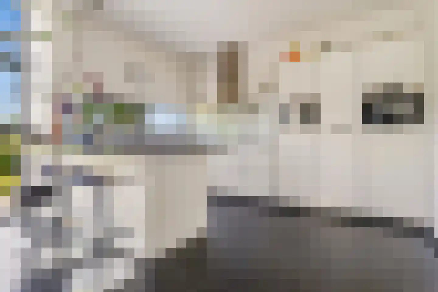 Witbrantlaan Oost 14 Tilburg thumbnail 11
