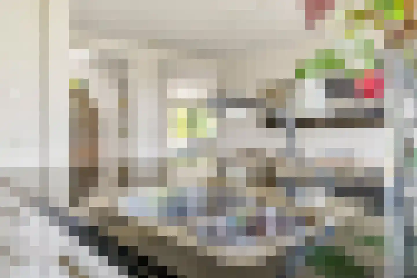 Witbrantlaan Oost 14 Tilburg thumbnail 14