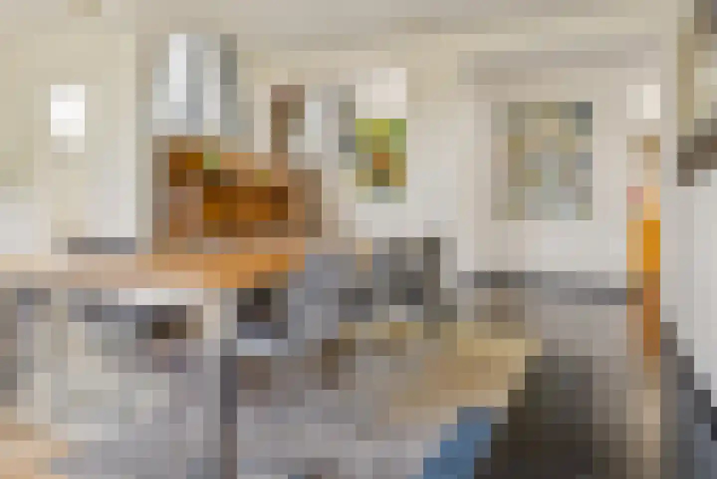 Witbrantlaan Oost 14 Tilburg thumbnail 17