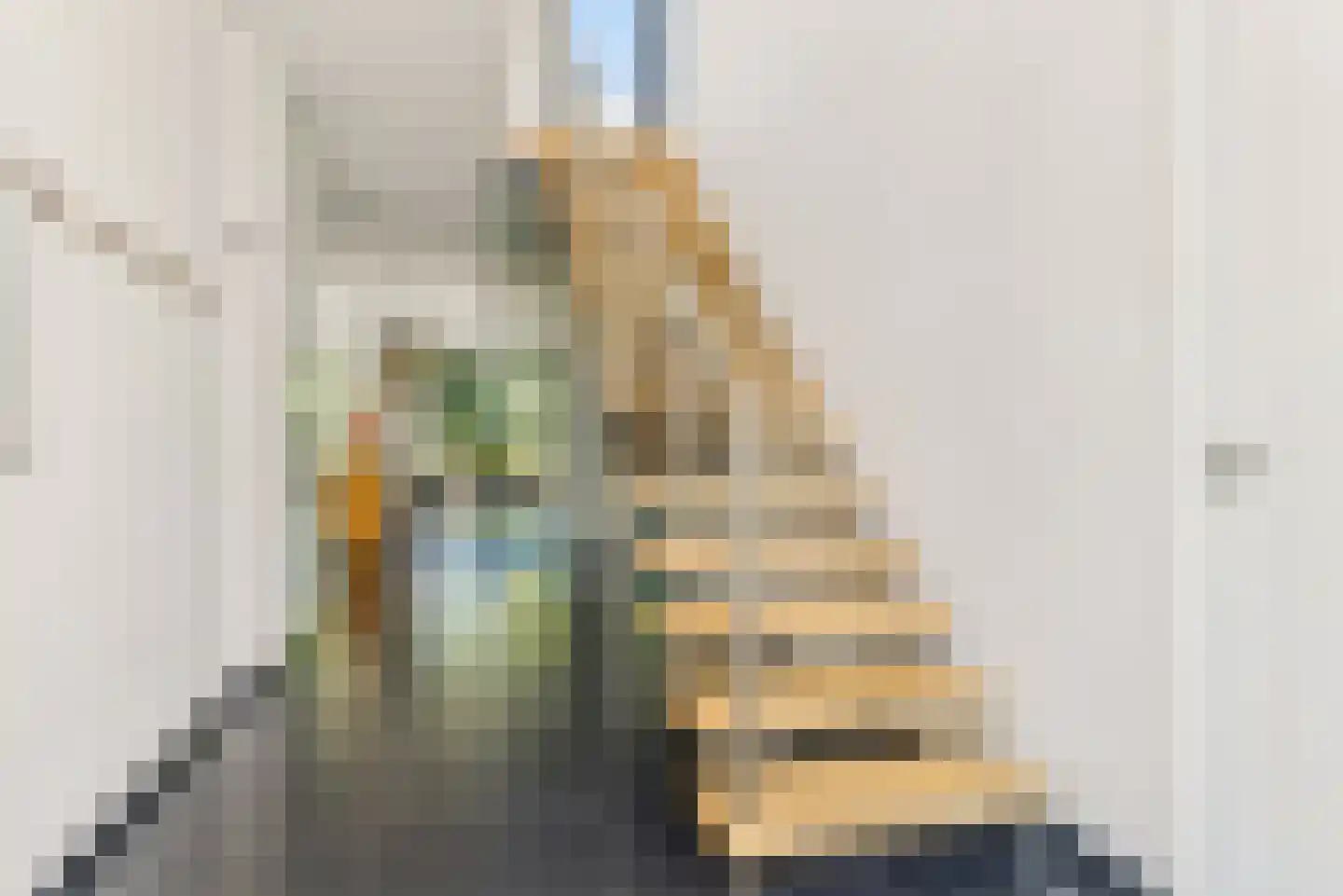 Witbrantlaan Oost 14 Tilburg thumbnail 31