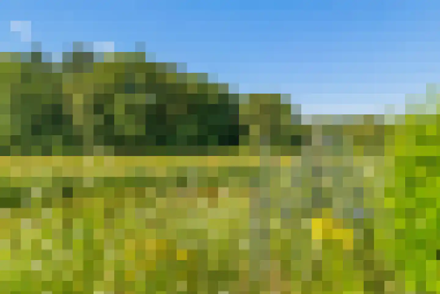 Witbrantlaan Oost 14 Tilburg thumbnail 5