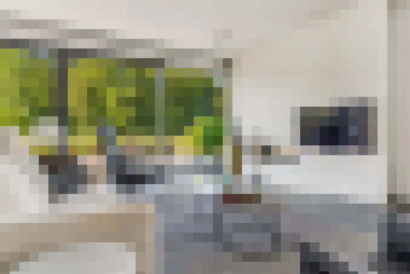 Witbrantlaan Oost 14 Tilburg thumbnail 7