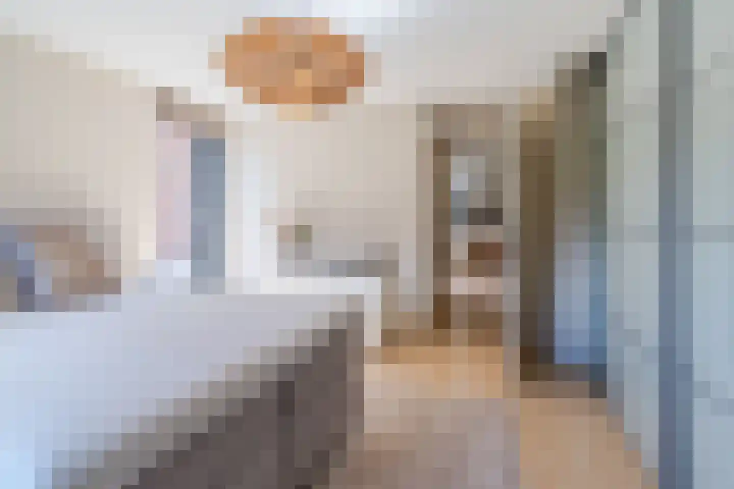 Witbrantlaan West 115 Tilburg thumbnail 15