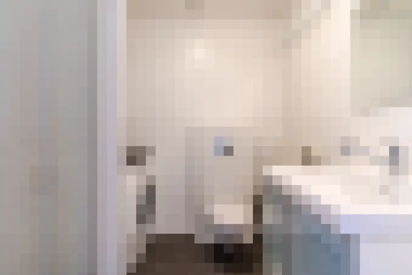 Witbrantlaan West 115 Tilburg thumbnail 30