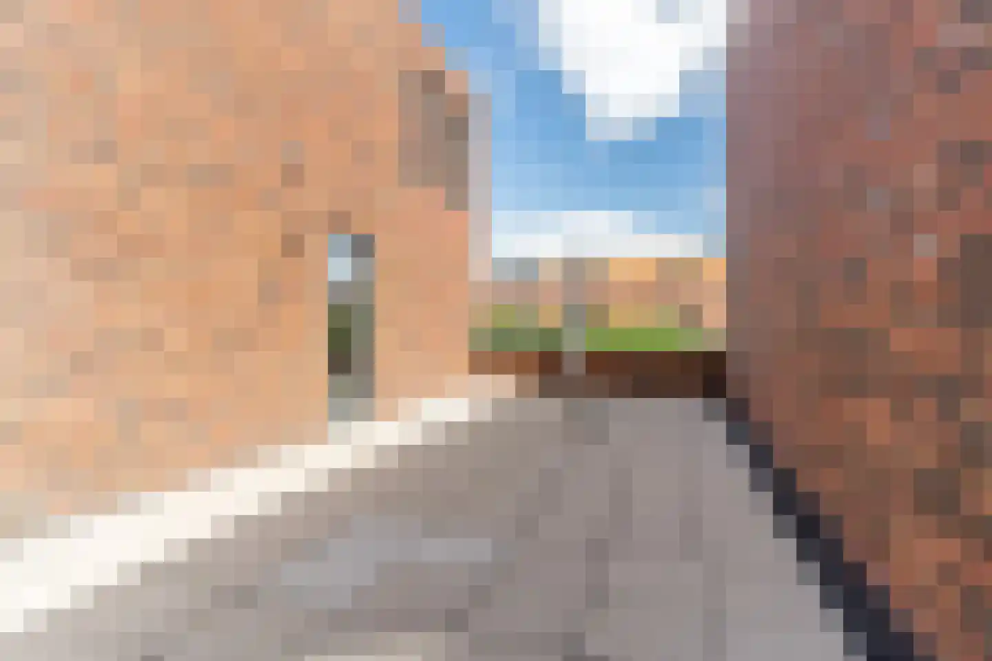 Witbrantlaan West 115 Tilburg thumbnail 34