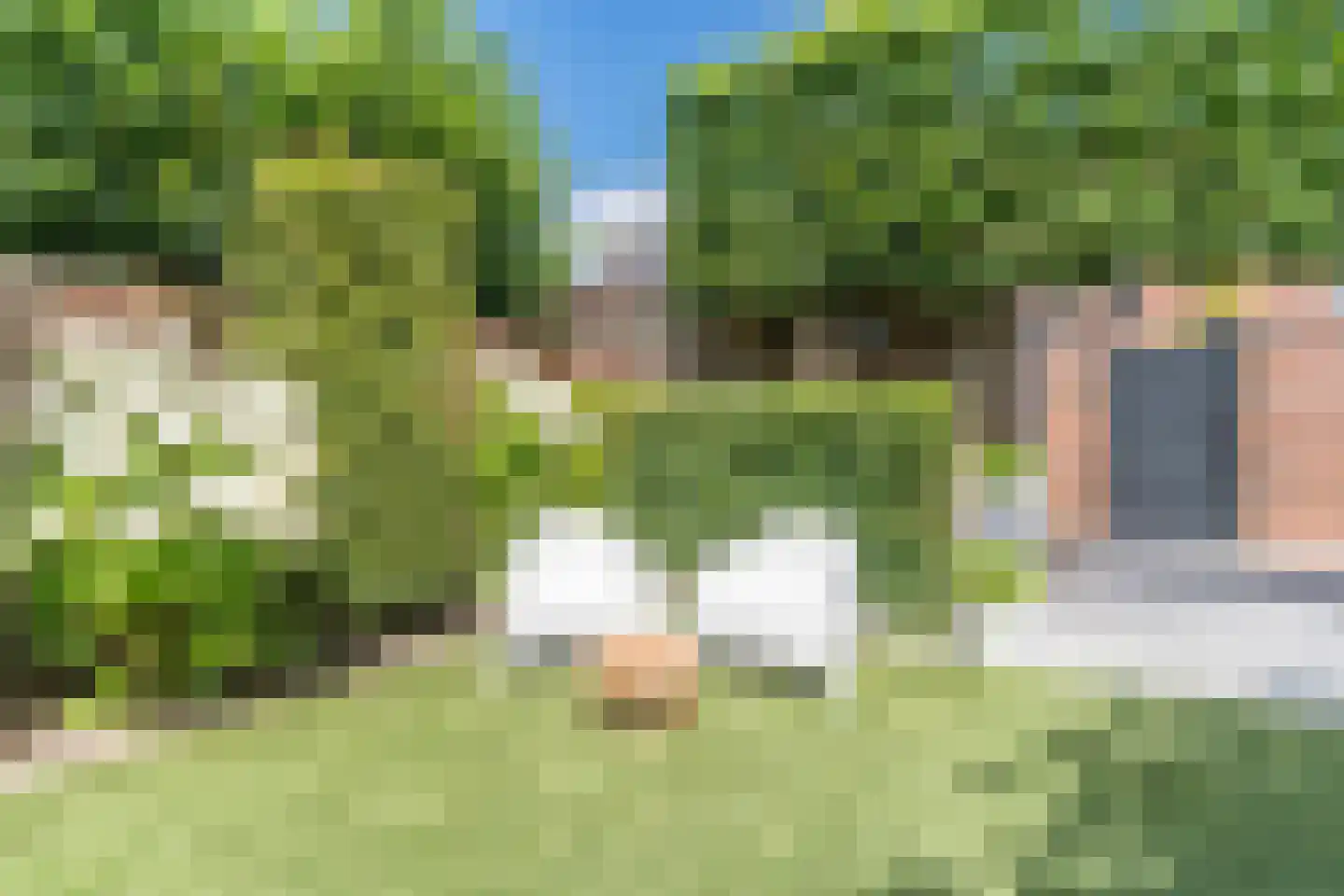 Witbrantlaan West 115 Tilburg thumbnail 39