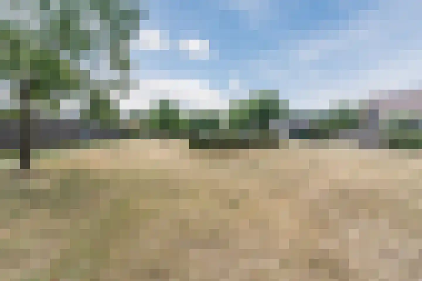 Witbrantlaan West 115 Tilburg thumbnail 44