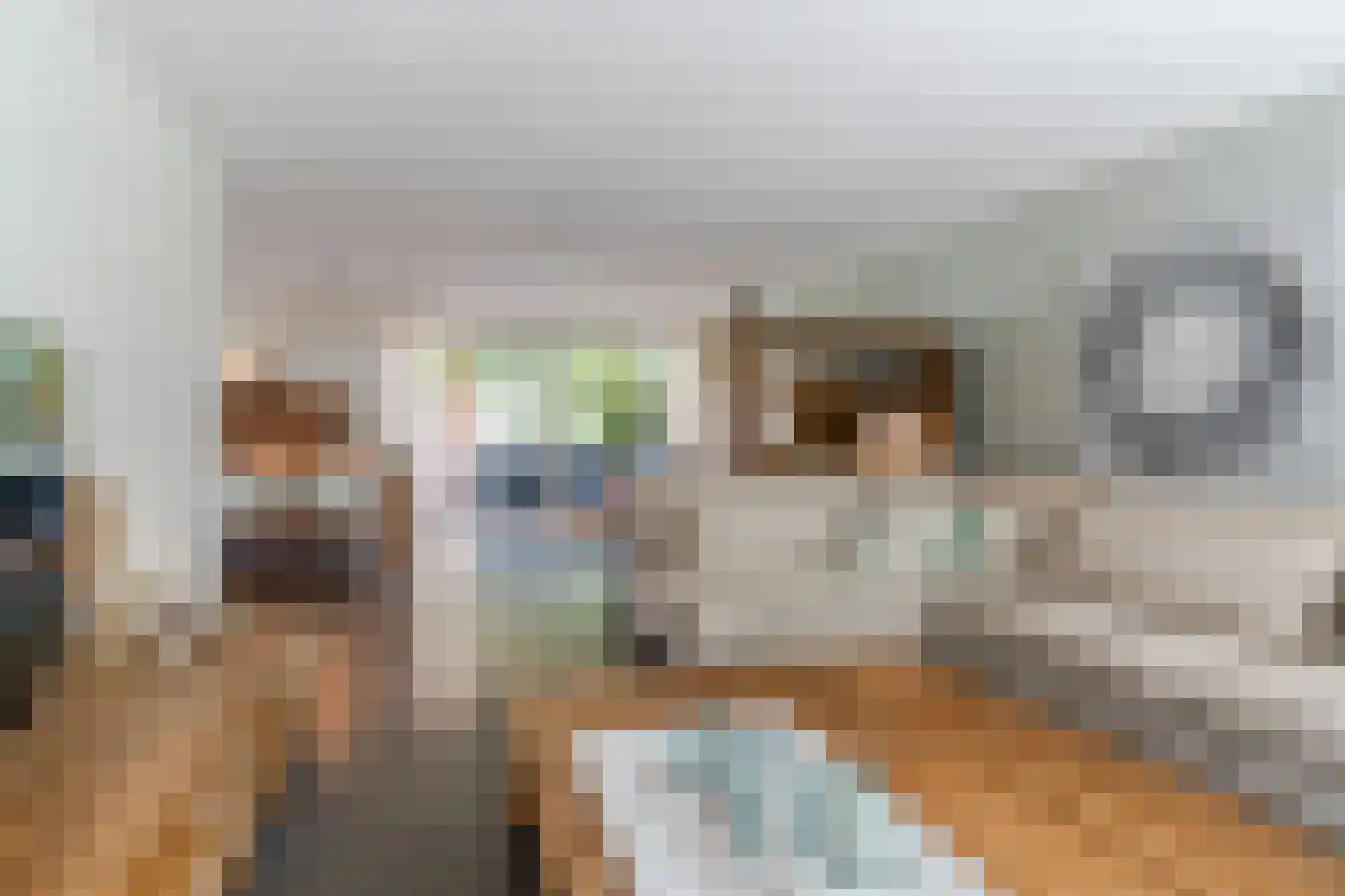Witbrantlaan West 115 Tilburg thumbnail 7