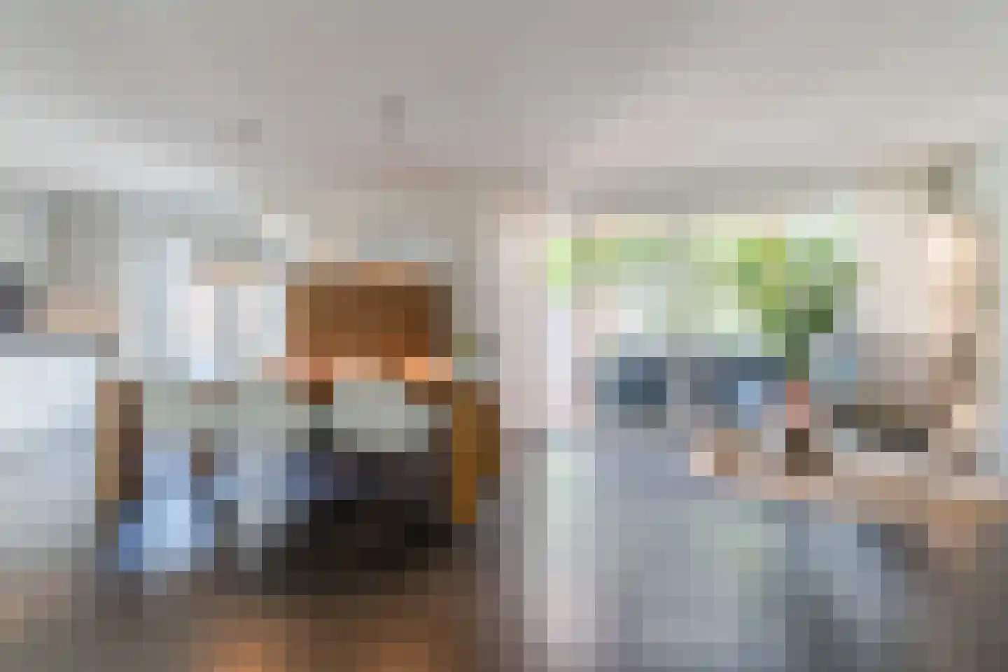 Witbrantlaan West 115 Tilburg thumbnail 8