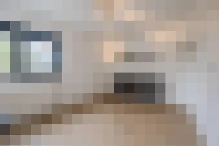 Witbrantlaan West 29 Tilburg thumbnail 31
