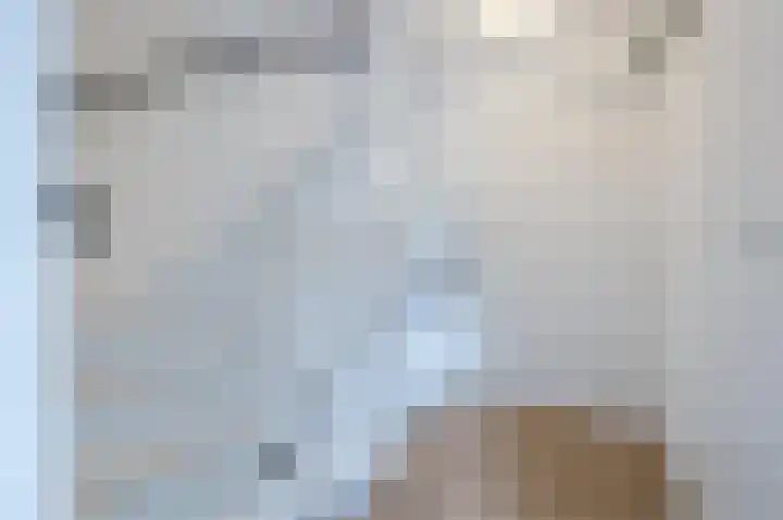 Witbrantlaan West 29 Tilburg thumbnail 37