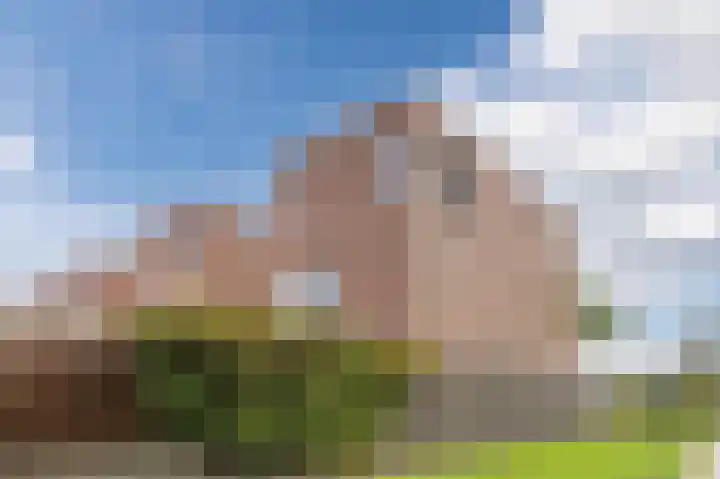 Witbrantlaan West 29 Tilburg thumbnail 59