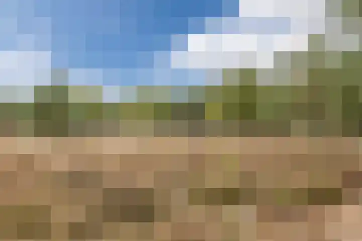 Witbrantlaan West 29 Tilburg thumbnail 63