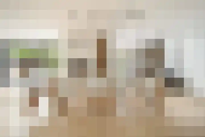 Witbrantlaan West 33 Tilburg thumbnail 10
