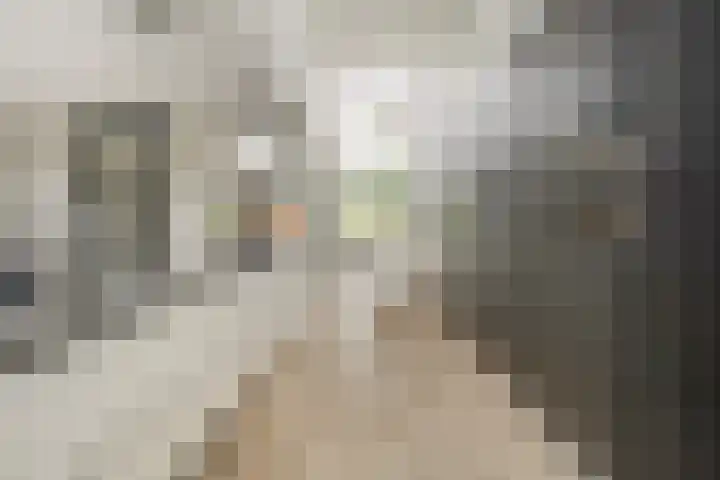 Witbrantlaan West 33 Tilburg thumbnail 14