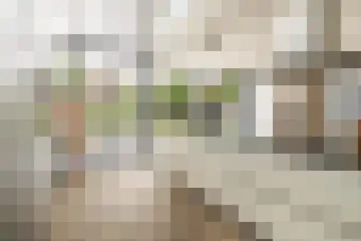 Witbrantlaan West 33 Tilburg thumbnail 16