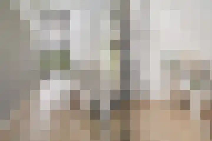 Witbrantlaan West 33 Tilburg thumbnail 17