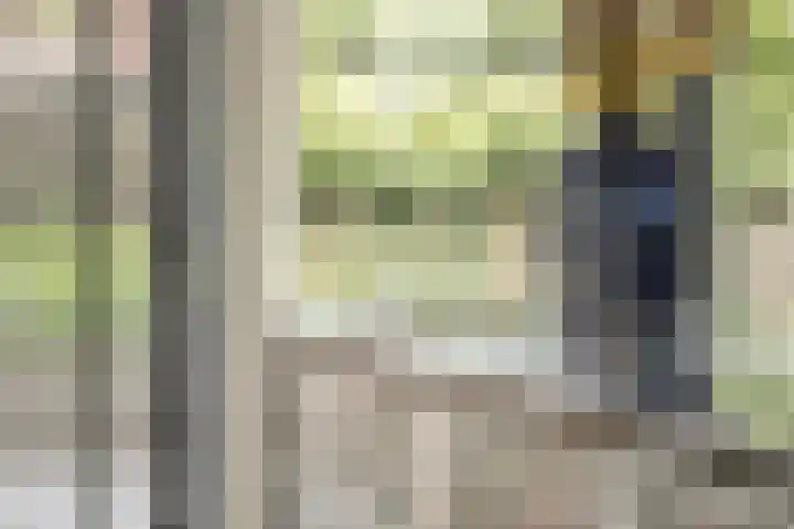 Witbrantlaan West 33 Tilburg thumbnail 18