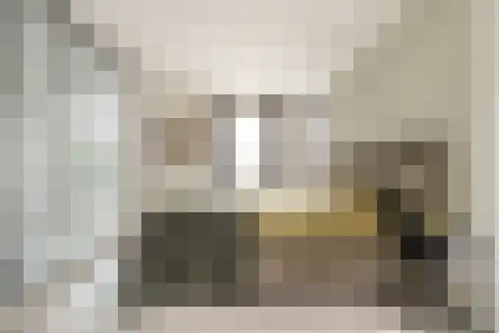 Witbrantlaan West 33 Tilburg thumbnail 19