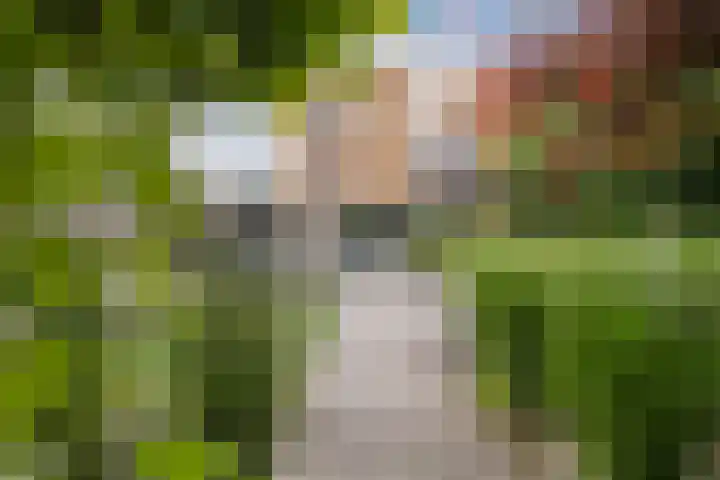 Witbrantlaan West 33 Tilburg thumbnail 27
