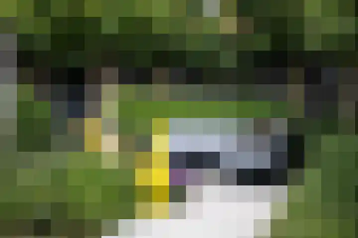Witbrantlaan West 33 Tilburg thumbnail 28