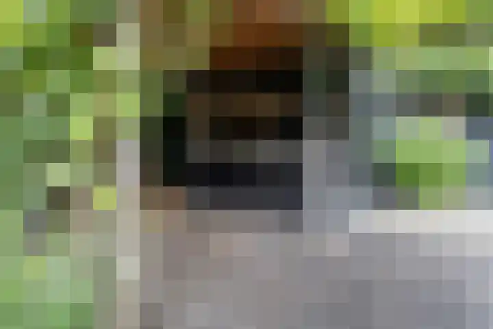 Witbrantlaan West 33 Tilburg thumbnail 29