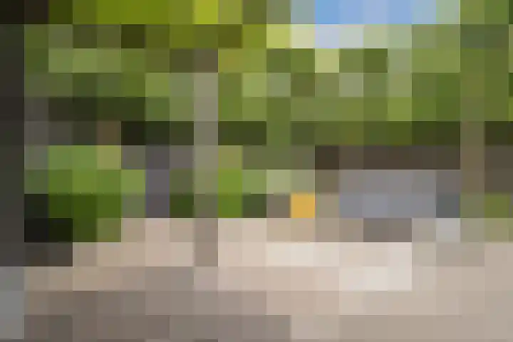Witbrantlaan West 33 Tilburg thumbnail 30
